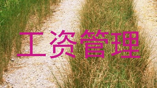 工资管理