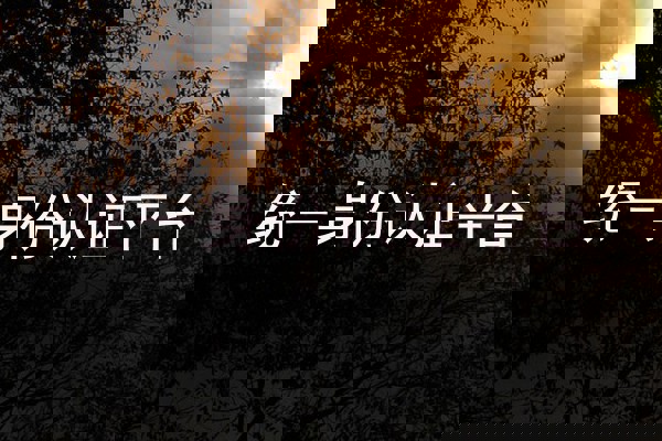 统一身份认证平台