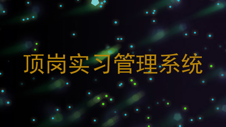 顶岗实习管理系统