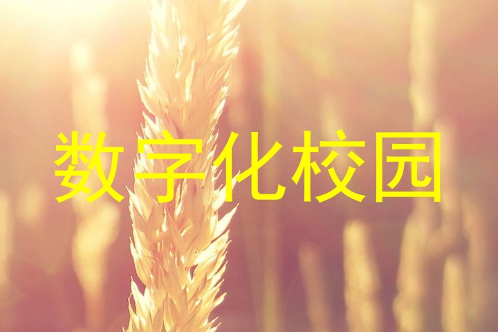 数字化校园