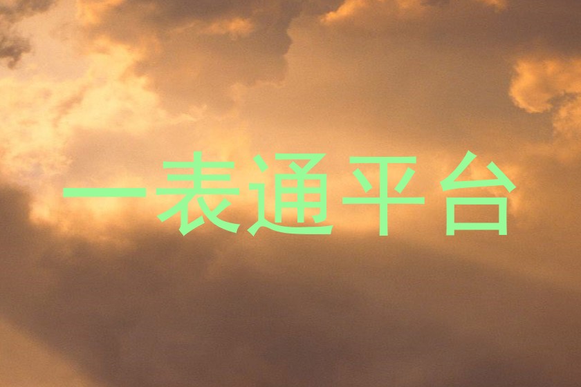 一表通平台