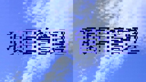 项目管理