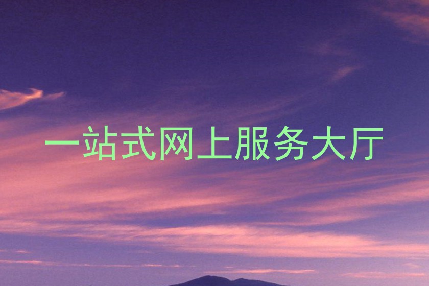 一站式网上服务大厅