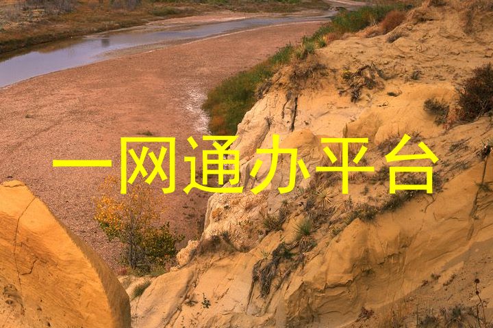 一网通办平台