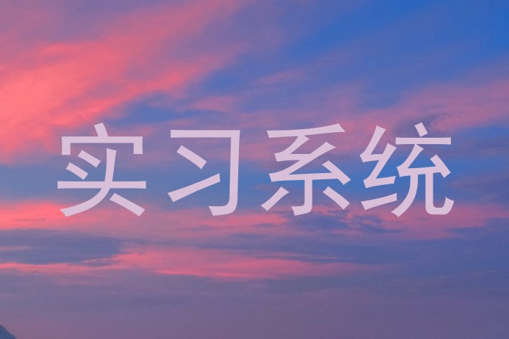 实习系统