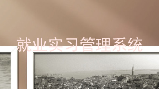 就业实习管理系统