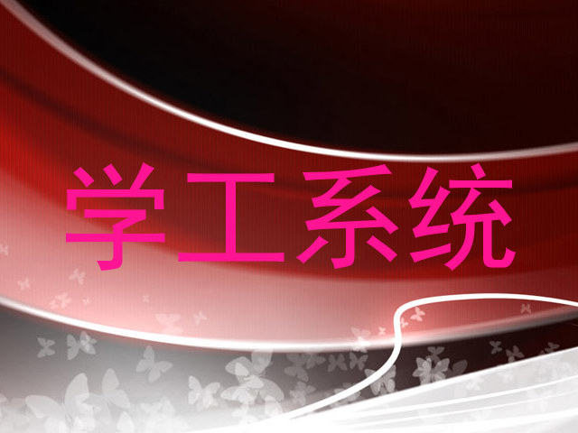 学工系统