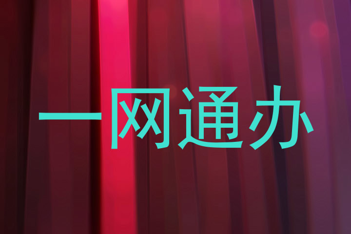 一网通办
