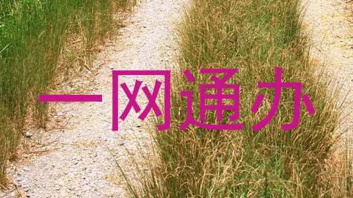 一网通办