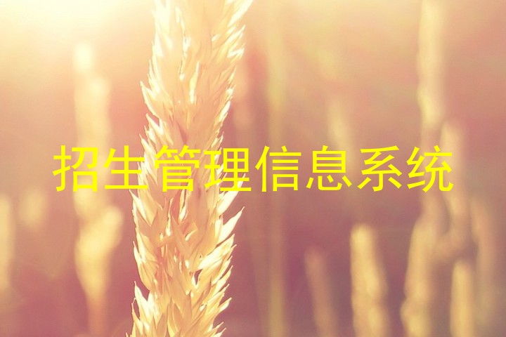 招生管理信息系統(tǒng)