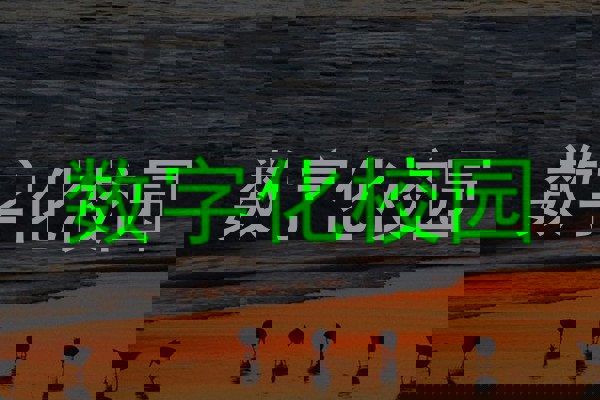 数字化校园
