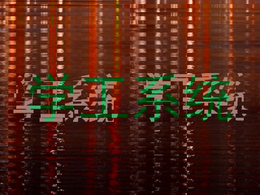 学工系统