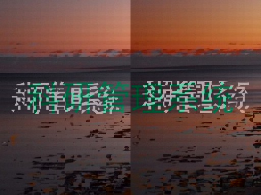 科研管理系统