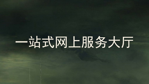 一站式网上服务大厅
