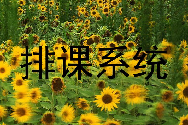 排课系统