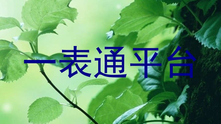 一表通平台