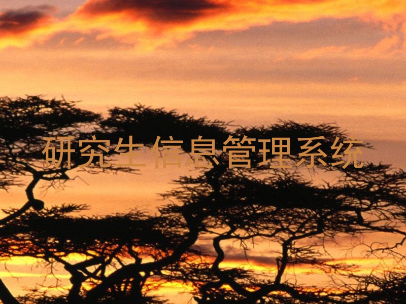 研究生信息管理系统