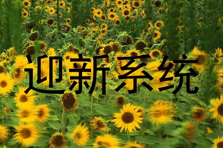 迎新系统