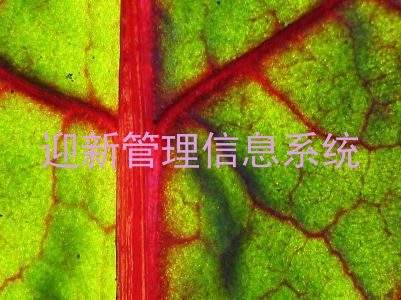 迎新管理信息系统