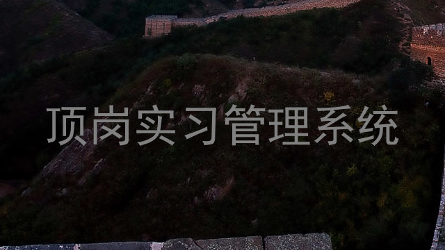 顶岗实习管理系统