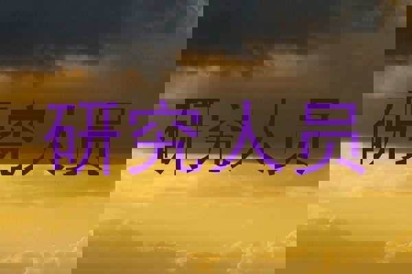 研究人员