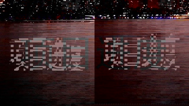 项目进度