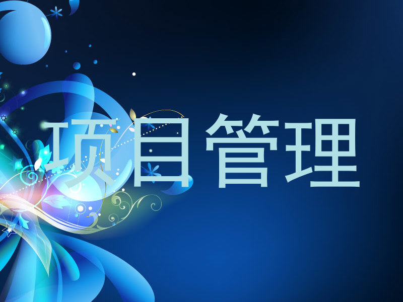 项目管理