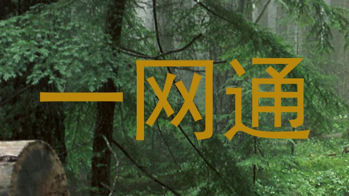 一网通