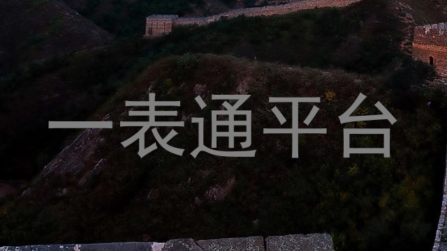 一表通平台