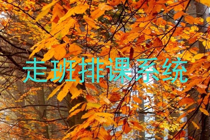 走班排课系统