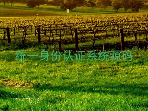 统一身份认证系统源码
