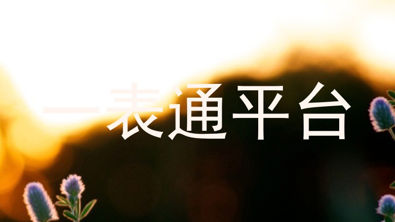 一表通平台