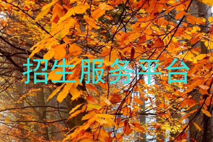 招生服務平臺