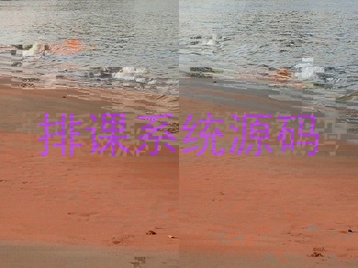 排课系统源码