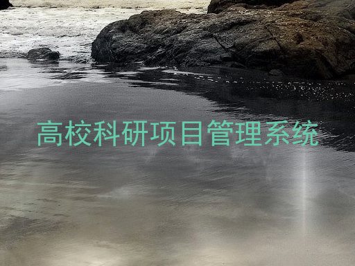 高校科研项目管理系统