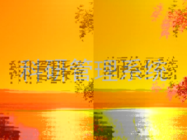 科研管理系统