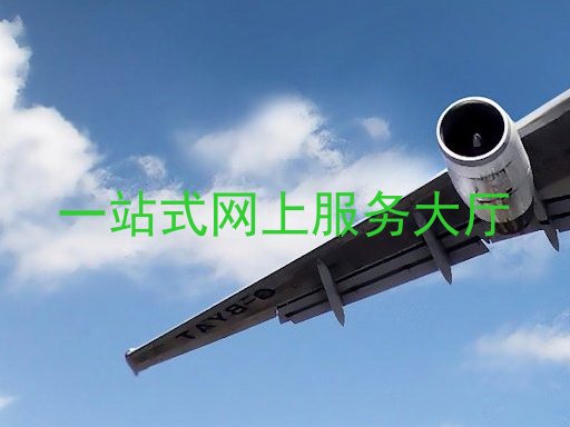 一站式网上服务大厅