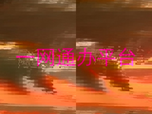 一网通办平台