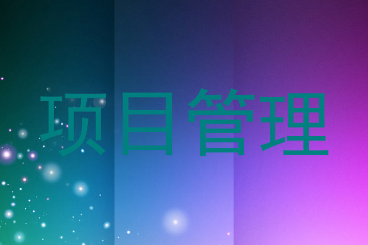 项目管理