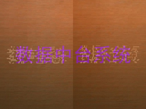 数据中台系统