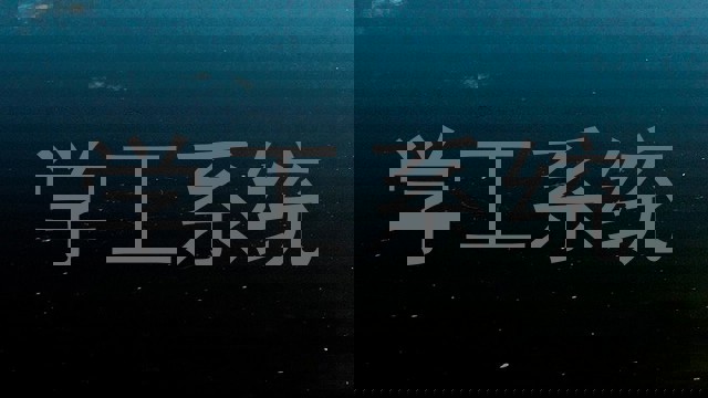 学工系统