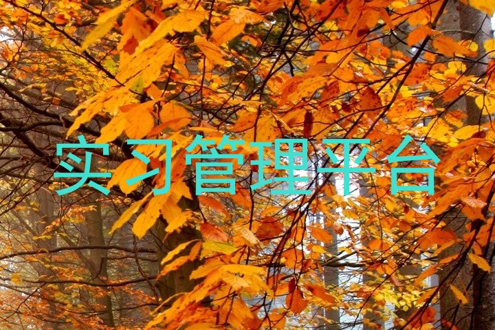 实习管理平台