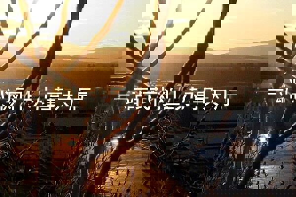 一站式网上办事大厅