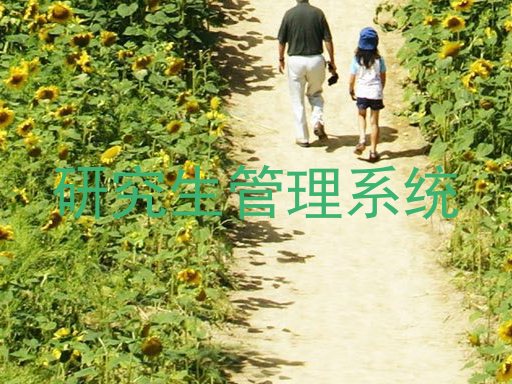研究生管理系统