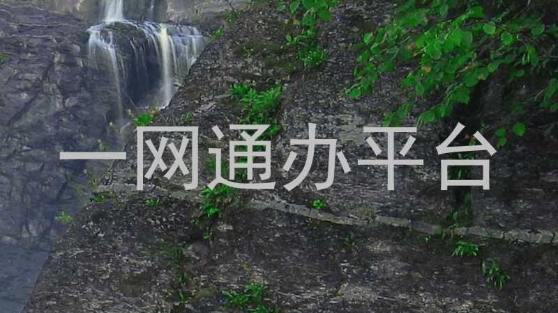一网通办平台