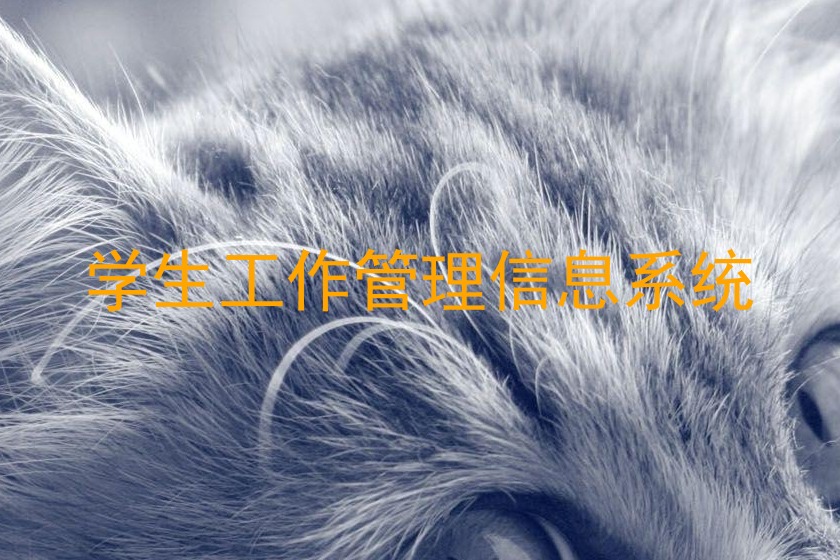 学生工作管理信息系统