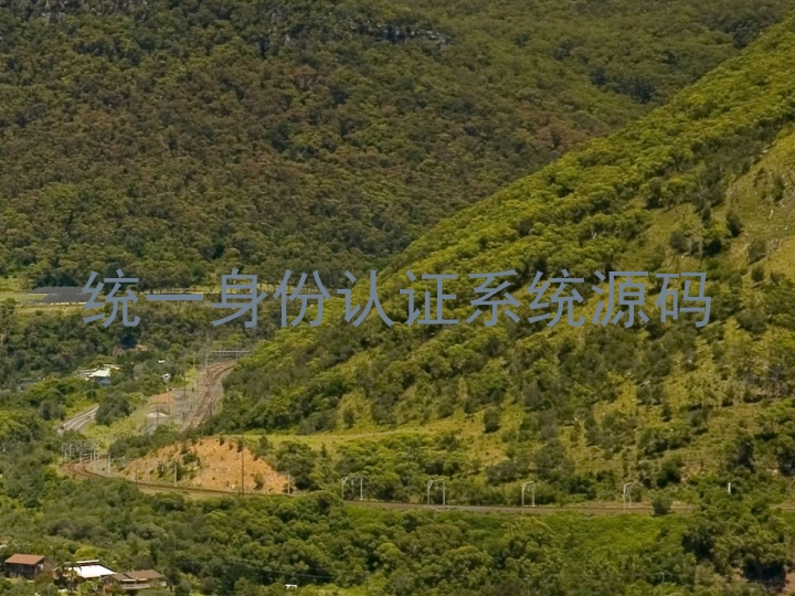 统一身份认证系统源码