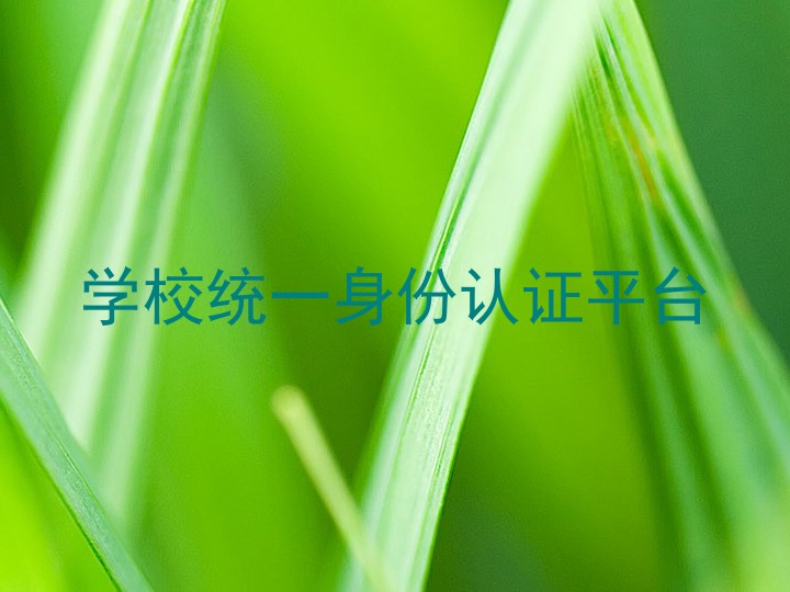 学校统一身份认证平台