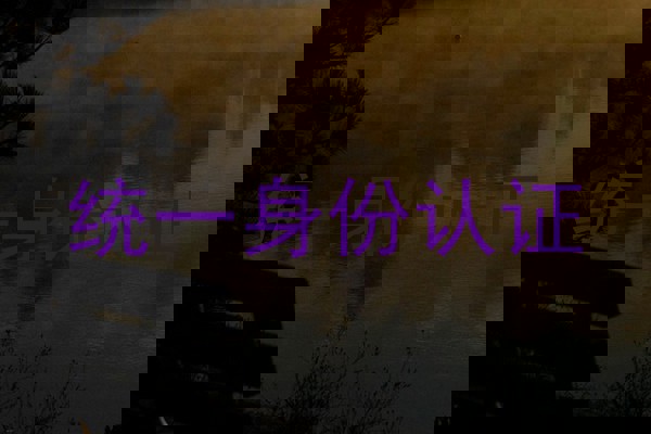 统一身份认证