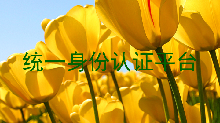 统一身份认证平台